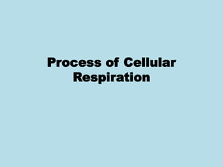 Process of Cellular
Respiration
 