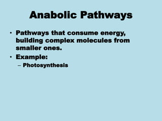 Anabolic Pathways
• Pathways that consume energy,
building complex molecules from
smaller ones.
• Example:
– Photosynthesis
 