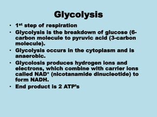 Glycolysis
• 1st step of respiration
• Glycolysis is the breakdown of glucose (6-
carbon molecule to pyruvic acid (3-carbon
molecule).
• Glycolysis occurs in the cytoplasm and is
anaerobic.
• Glycolosis produces hydrogen ions and
electrons, which combine with carrier ions
called NAD+ (nicotanamide dinucleotide) to
form NADH.
• End product is 2 ATP’s
 