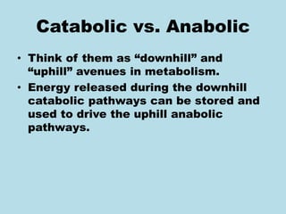 Catabolic vs. Anabolic
• Think of them as “downhill” and
“uphill” avenues in metabolism.
• Energy released during the downhill
catabolic pathways can be stored and
used to drive the uphill anabolic
pathways.
 