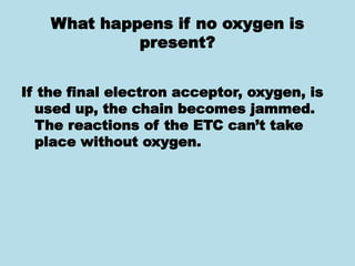 What happens if no oxygen is
present?
If the final electron acceptor, oxygen, is
used up, the chain becomes jammed.
The reactions of the ETC can’t take
place without oxygen.
 