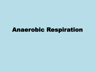 Anaerobic Respiration
 