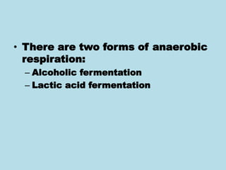 • There are two forms of anaerobic
respiration:
– Alcoholic fermentation
– Lactic acid fermentation
 