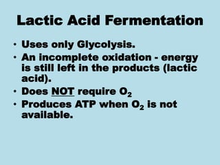 Lactic Acid Fermentation
• Uses only Glycolysis.
• An incomplete oxidation - energy
is still left in the products (lactic
acid).
• Does NOT require O2
• Produces ATP when O2 is not
available.
 