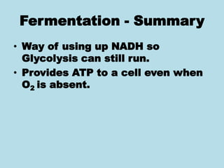 Fermentation - Summary
• Way of using up NADH so
Glycolysis can still run.
• Provides ATP to a cell even when
O2 is absent.
 