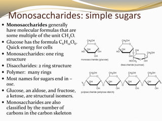 Monosaccharides: simple sugars
 Monosaccharides generally
have molecular formulas that are
some multiple of the unit CH2O...