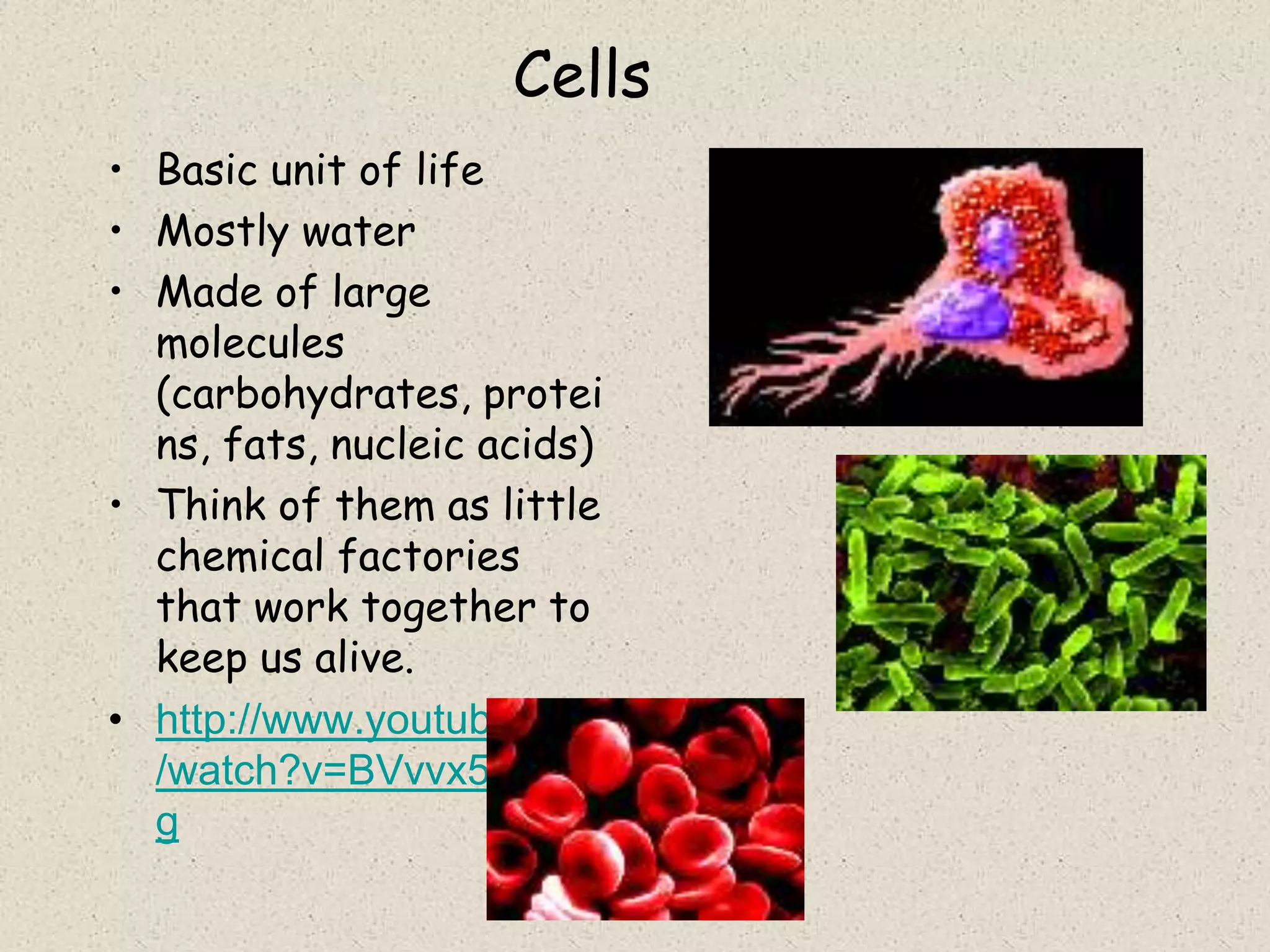 Cells
• Basic unit of life
• Mostly water
• Made of large
  molecules
  (carbohydrates, protei
  ns, fats, nucleic acids)
• Think of them as little
  chemical factories
  that work together to
  keep us alive.
• http://www.youtube.com
  /watch?v=BVvvx5HGpL
  g
 