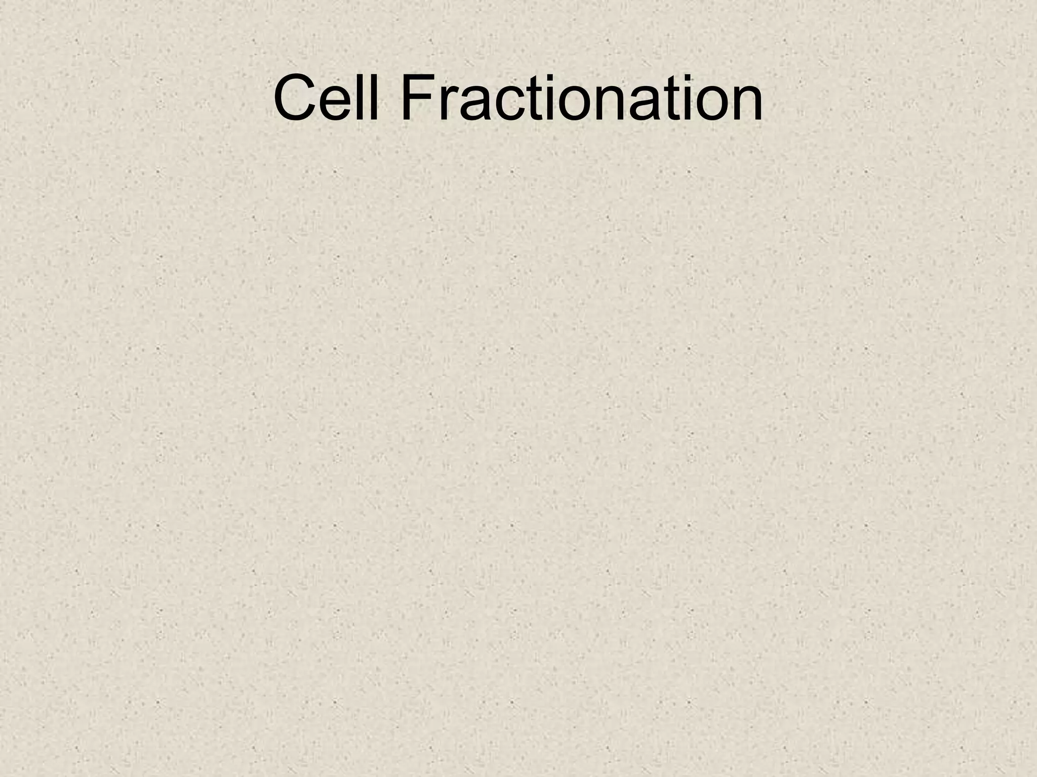 Cell Fractionation
 
