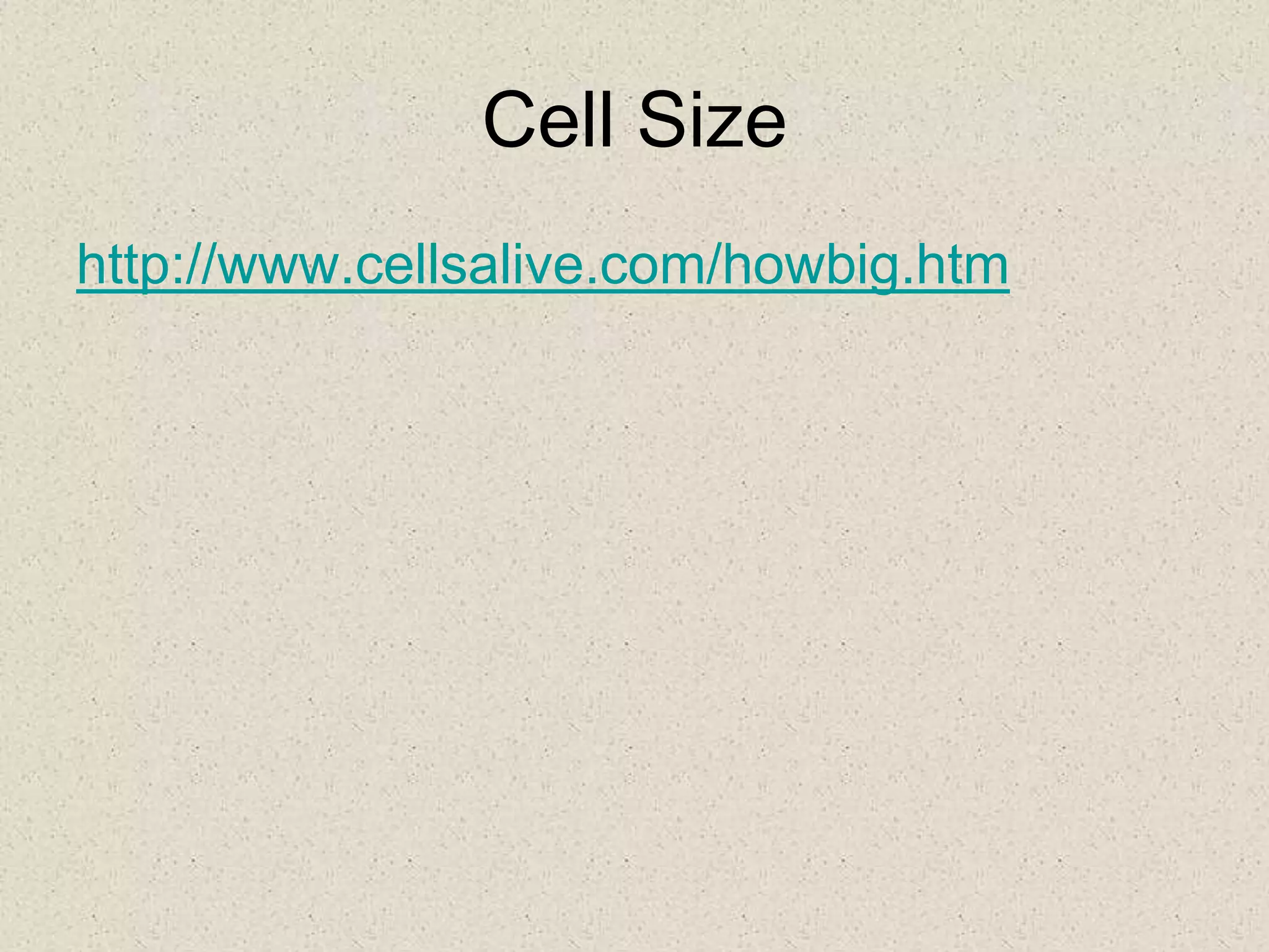 Cell Size
http://www.cellsalive.com/howbig.htm
 
