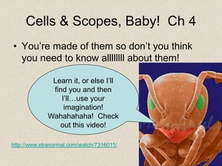 Cells & Scopes, Baby! Ch 4
• You’re made of them so don’t you think
  you need to know allllllll about them!

              Learn it, or else I’ll
              find you and then
                 I’ll…use your
                  imagination!
             Wahahahaha! Check
                out this video!

http://www.xtranormal.com/watch/7316011/
 