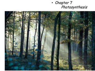 • Chapter 7
     Photosynthesis
 