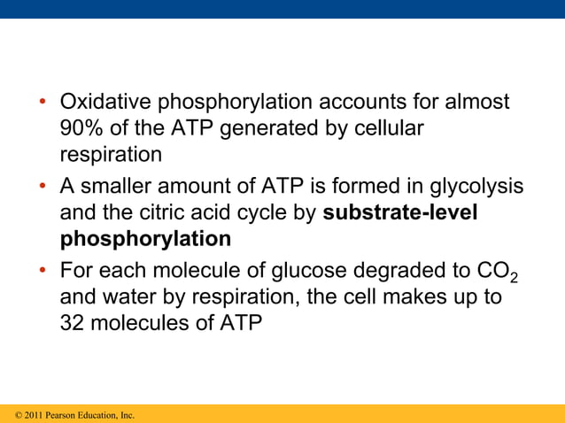Ap bio chp 9 cellular respiration and fermentation | PPT
