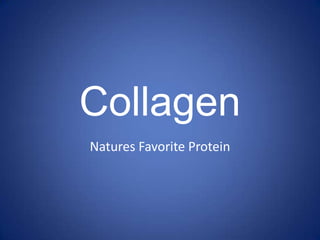 Collagen Natures Favorite Protein 