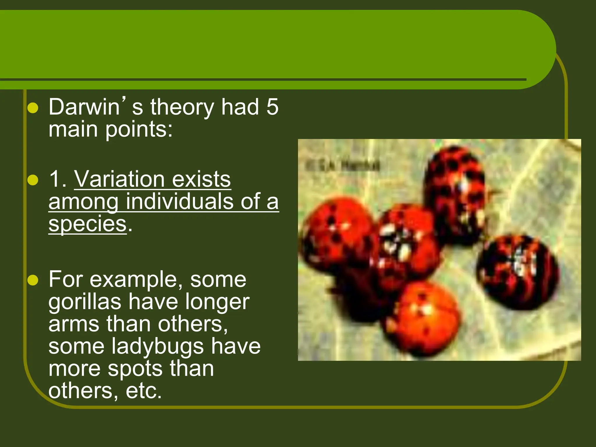  Darwin’s theory had 5
main points:
 1. Variation exists
among individuals of a
species.
 For example, some
gorillas have longer
arms than others,
some ladybugs have
more spots than
others, etc.
 