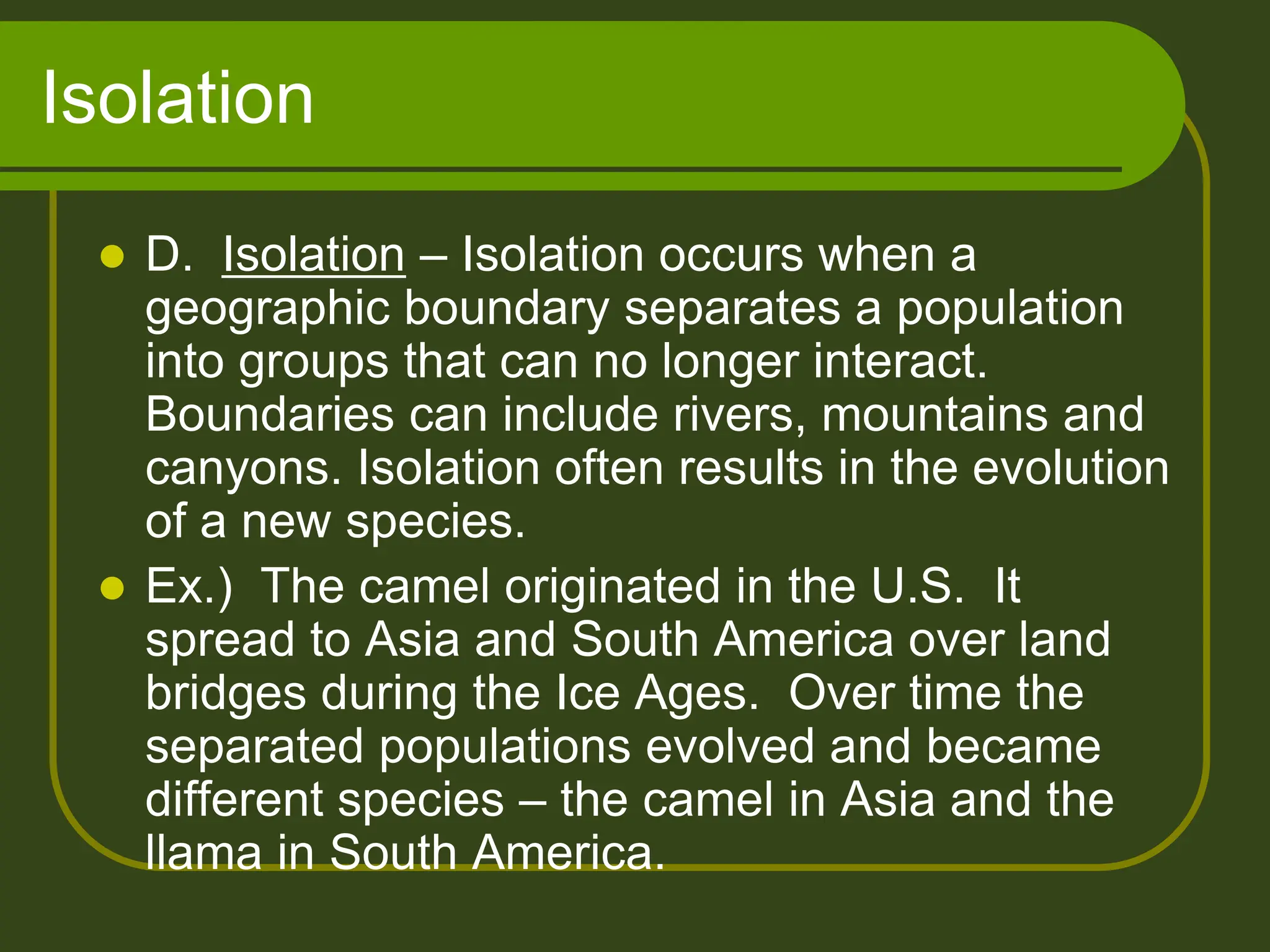 Isolation
 D. Isolation – Isolation occurs when a
geographic boundary separates a population
into groups that can no longer interact.
Boundaries can include rivers, mountains and
canyons. Isolation often results in the evolution
of a new species.
 Ex.) The camel originated in the U.S. It
spread to Asia and South America over land
bridges during the Ice Ages. Over time the
separated populations evolved and became
different species – the camel in Asia and the
llama in South America.
 