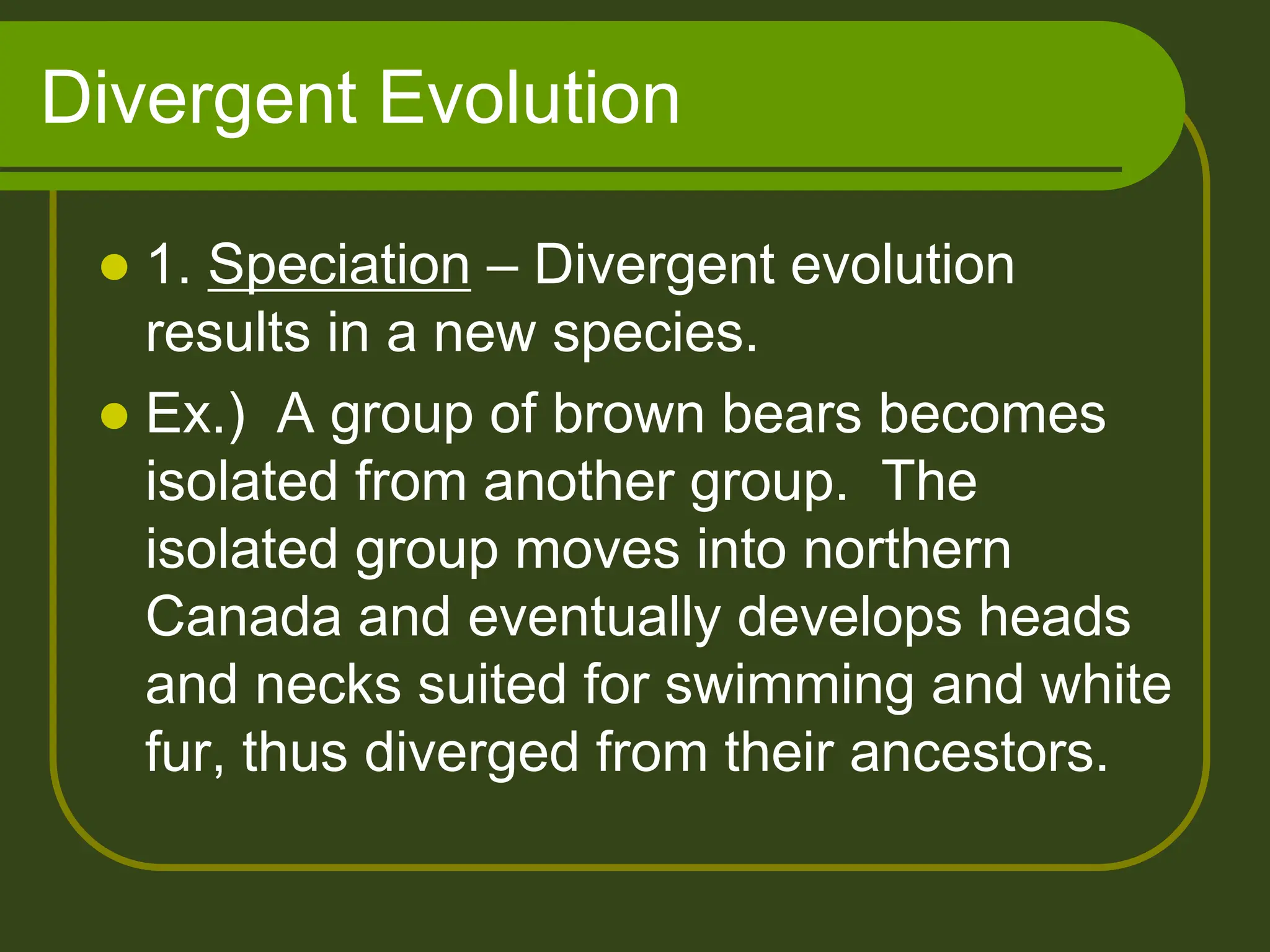 Divergent Evolution
 1. Speciation – Divergent evolution
results in a new species.
 Ex.) A group of brown bears becomes
isolated from another group. The
isolated group moves into northern
Canada and eventually develops heads
and necks suited for swimming and white
fur, thus diverged from their ancestors.
 