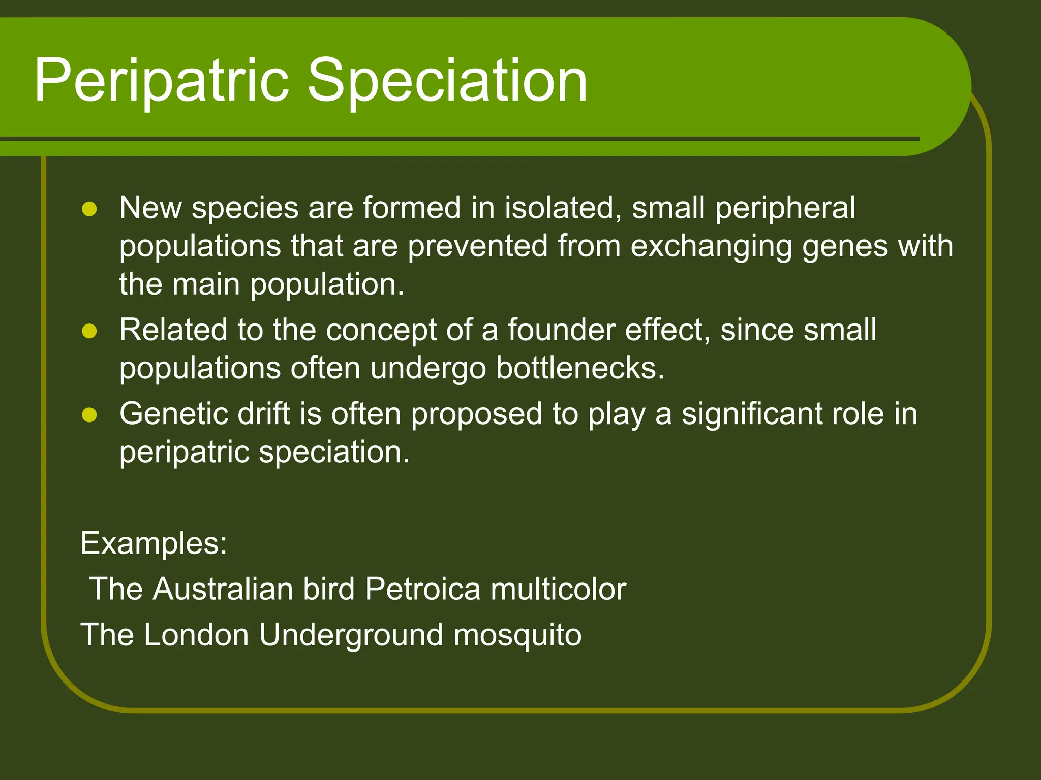 Peripatric Speciation
 New species are formed in isolated, small peripheral
populations that are prevented from exchanging genes with
the main population.
 Related to the concept of a founder effect, since small
populations often undergo bottlenecks.
 Genetic drift is often proposed to play a significant role in
peripatric speciation.
Examples:
The Australian bird Petroica multicolor
The London Underground mosquito
 