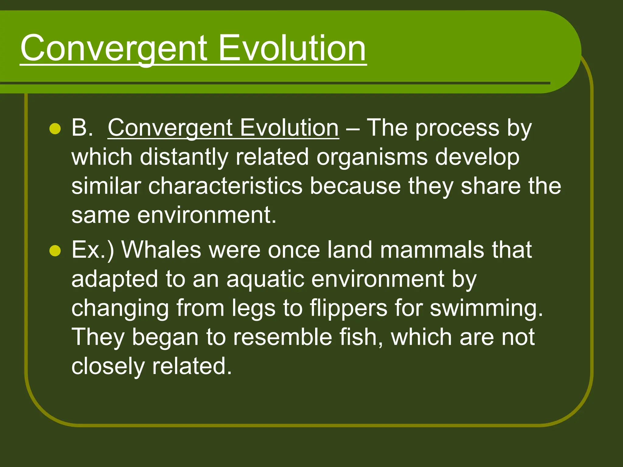 Convergent Evolution
 B. Convergent Evolution – The process by
which distantly related organisms develop
similar characteristics because they share the
same environment.
 Ex.) Whales were once land mammals that
adapted to an aquatic environment by
changing from legs to flippers for swimming.
They began to resemble fish, which are not
closely related.
 