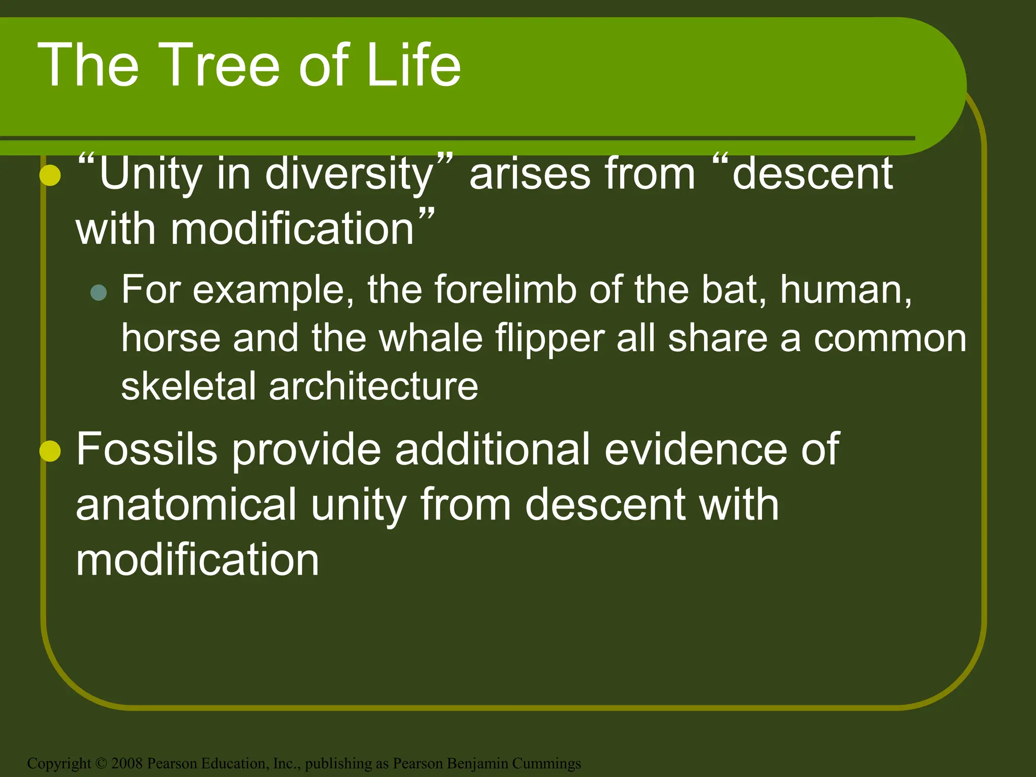 The Tree of Life
 “Unity in diversity” arises from “descent
with modification”
 For example, the forelimb of the bat, human,
horse and the whale flipper all share a common
skeletal architecture
 Fossils provide additional evidence of
anatomical unity from descent with
modification
Copyright © 2008 Pearson Education, Inc., publishing as Pearson Benjamin Cummings
 