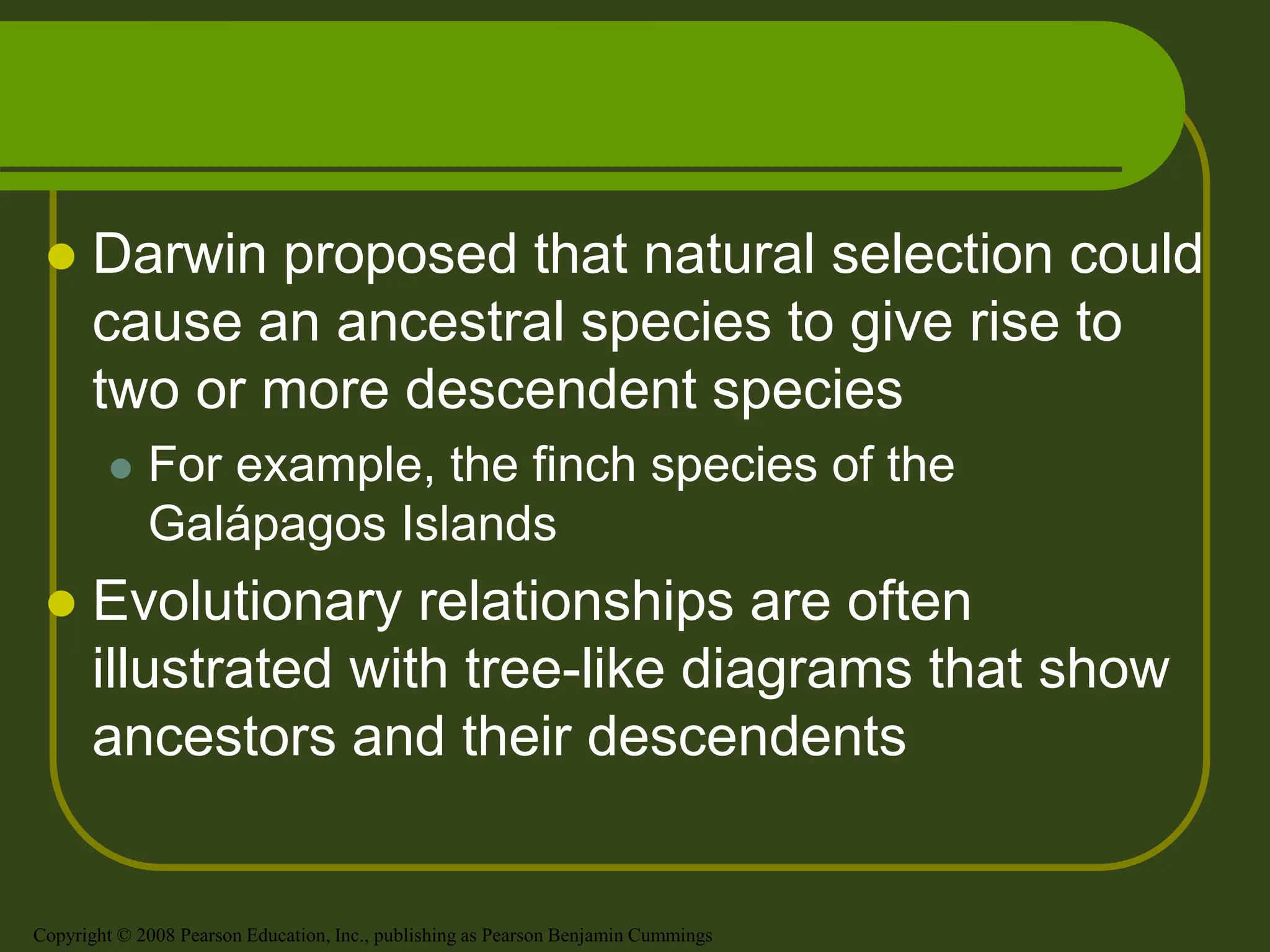  Darwin proposed that natural selection could
cause an ancestral species to give rise to
two or more descendent species
 For example, the finch species of the
Galápagos Islands
 Evolutionary relationships are often
illustrated with tree-like diagrams that show
ancestors and their descendents
Copyright © 2008 Pearson Education, Inc., publishing as Pearson Benjamin Cummings
 