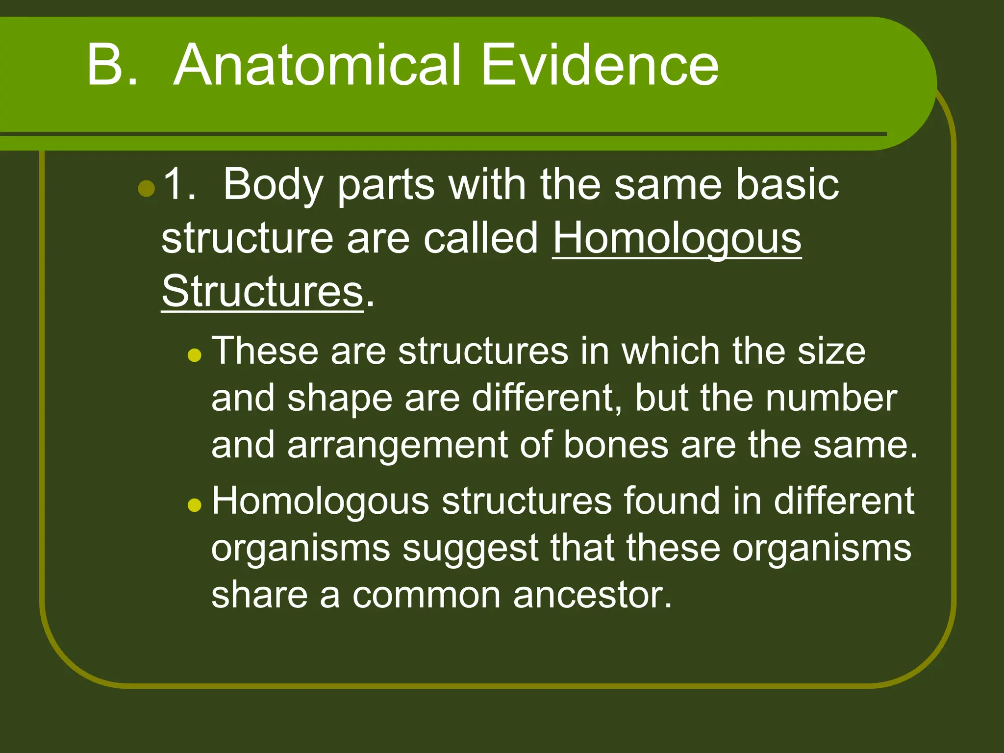 B. Anatomical Evidence
1. Body parts with the same basic
structure are called Homologous
Structures.
 These are structures in which the size
and shape are different, but the number
and arrangement of bones are the same.
 Homologous structures found in different
organisms suggest that these organisms
share a common ancestor.
 