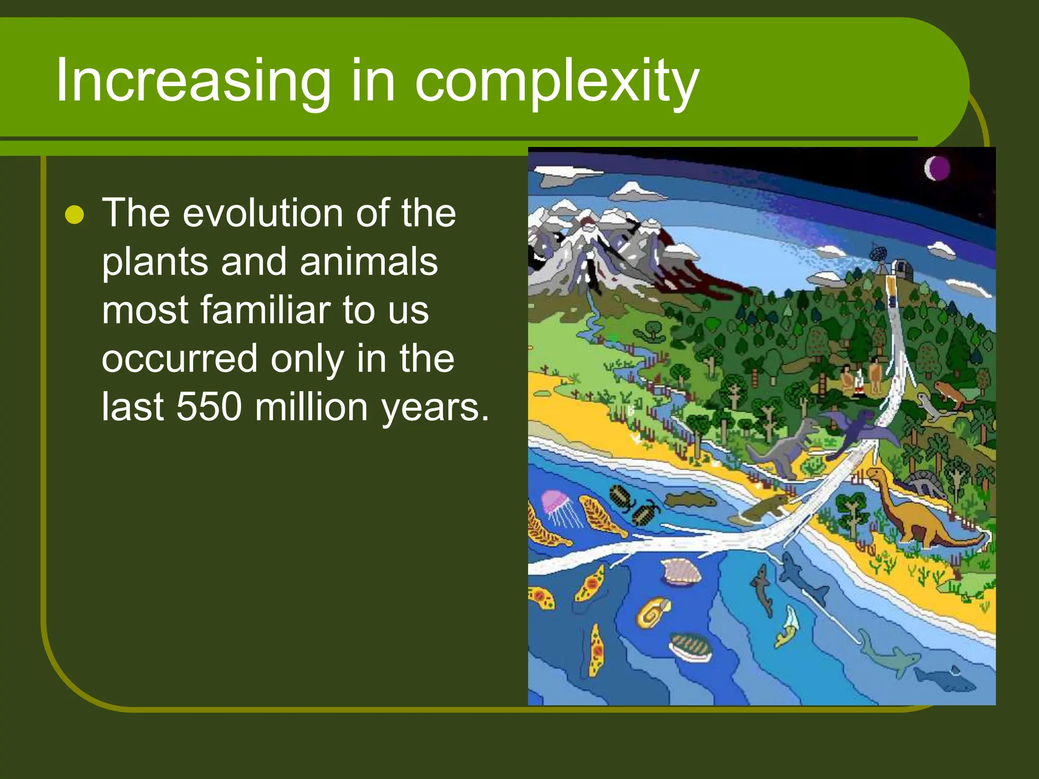 Increasing in complexity
 The evolution of the
plants and animals
most familiar to us
occurred only in the
last 550 million years.
 