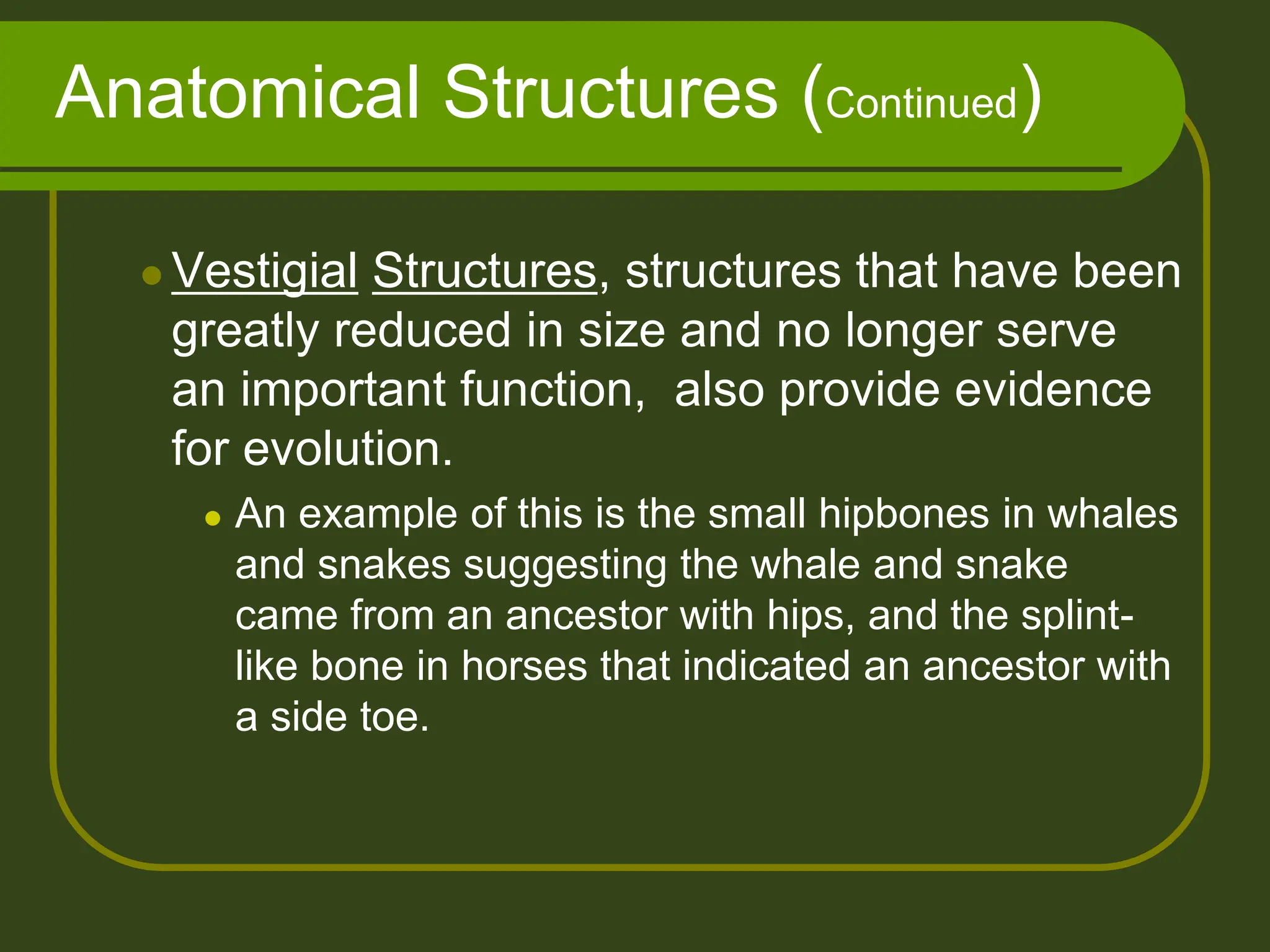 Anatomical Structures (Continued)
 Vestigial Structures, structures that have been
greatly reduced in size and no longer serve
an important function, also provide evidence
for evolution.
 An example of this is the small hipbones in whales
and snakes suggesting the whale and snake
came from an ancestor with hips, and the splint-
like bone in horses that indicated an ancestor with
a side toe.
 
