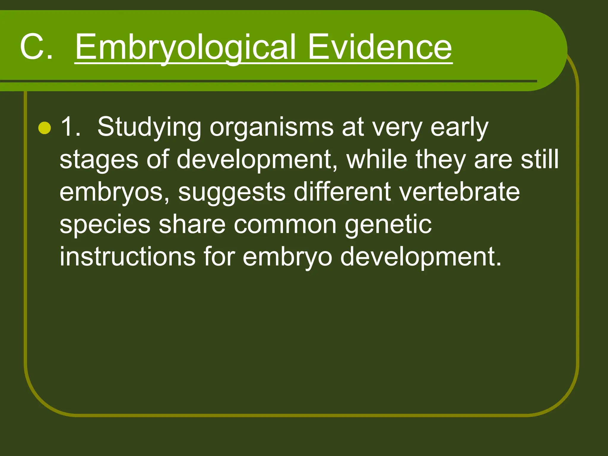 C. Embryological Evidence
 1. Studying organisms at very early
stages of development, while they are still
embryos, suggests different vertebrate
species share common genetic
instructions for embryo development.
 