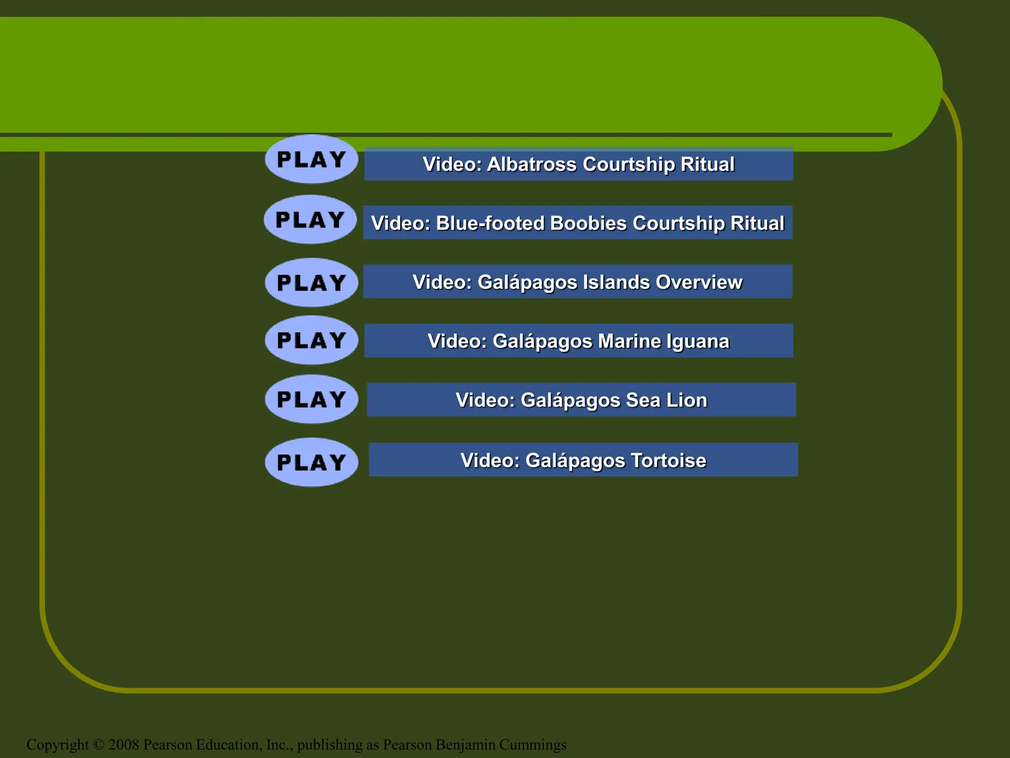 Video: Albatross Courtship Ritual
Video: Blue-footed Boobies Courtship Ritual
Video: Galápagos Marine Iguana
Video: Galápagos Sea Lion
Video: Galápagos Islands Overview
Video: Galápagos Tortoise
Copyright © 2008 Pearson Education, Inc., publishing as Pearson Benjamin Cummings
 