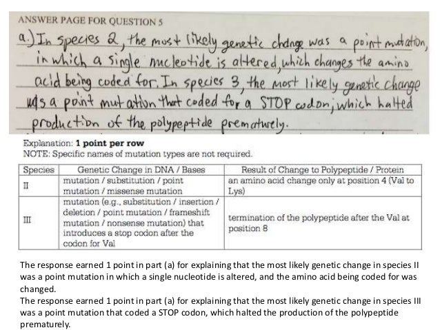 2019 ap biology free response answers image