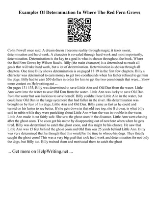 Examples Of Determination In Where The Red Fern Grows
Colin Powell once said, A dream doesn t become reality through magic; it takes sweat,
determination and hard work. A character is revealed through hard work and most importantly,
determination. Determination is the key to a goal is what is shown throughout the book, Where
the Red Fern Grows by Wilson Rawls. Billy (the main character) is a determined to reach all
goals that will take hard work, but a lot of determination. Determination is shown through all
chapters. One time Billy shows determination is on paged 18 19 in the first few chapters. Billy s
character was determined to earn money to get two coonhounds when his father refused to get him
the dogs. Billy had to earn $50 dollars in order for him to get the two coonhounds that were... Show
more content on Helpwriting.net ...
On pages 131 133, Billy was determined to save Little Ann and Old Dan from the water. Little
Ann went into the water to save Old Dan from the water. Little Ann was lucky to save Old Dan
from the water but was luckless to save herself. Billy couldn t hear Little Ann in the water, but
could hear Old Dan in the large sycamore that had fallen in the river. His determination was
brought on by fear of his dogs, Little Ann and Old Dan. Billy came as fast as he could and
turned on his lanter to see better. If she gets down in that old tree top, she ll drown. is what billy
said to rubin while they were panicking about Little Ann when she was in trouble in the water.
Little Ann made it out fairly safe. She saw the ghost coon in the distance. Little Ann went chasing
after the ghost coon. The coon got his name by disappearing out of nowhere when when he gets
tired. Billy was determined to catch the ghost coon, and this might be his chance. He saw that
Little Ann was 15 feet behind the ghost coon and Old Dan was 25 yards behind Little Ann. Billy
was very determined that he thought that this would be the time to whoop his dogs. They finally
caught the ghost coon! This was a very big goal that took hard work and determination for not only
the dogs, but Billy too. Billy trained them and motivated them to catch the ghost
... Get more on HelpWriting.net ...
 