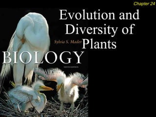 Chapter 24


Evolution and
 Diversity of
   Plants
 