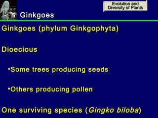 Ap bio lecture ch24 evolution and diversity of life | PPT