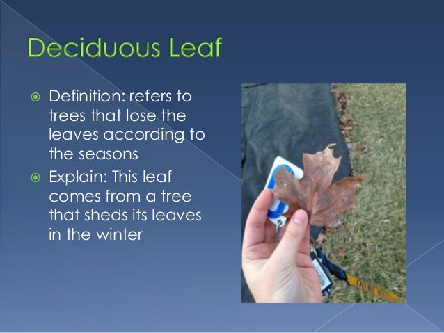 AP Biology- Scavenger Hunt