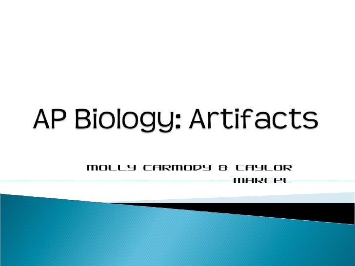 AP Biology Artifacts