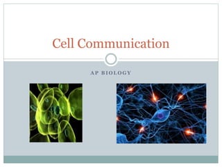 A P B I O L O G Y
Cell Communication
 