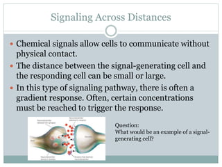 AP Biology Cell Communication.pptx