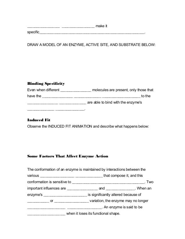 enzyme action testing catalase activity essays The aim of this experiment was to investigate the effect of temperature on the enzyme catalase enzyme catalase activity in a potato essay action of an enzyme. enzyme action testing catalase activity essays The aim of this experiment was to investigate the effect of temperature on the enzyme catalase enzyme catalase activity in a potato essay action of an enzyme.