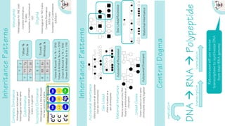ap_biology_review_one_pagers -AP biology | PDF