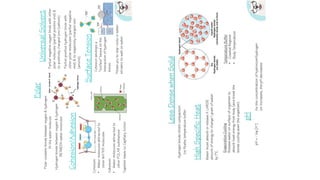 ap_biology_review_one_pagers -AP biology | PDF