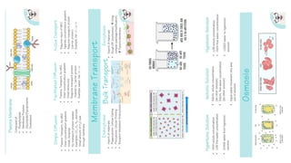 ap_biology_review_one_pagers -AP biology | PDF