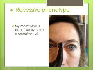 Recessive Visual Ap Biology Scavenger Hunt power point | PPTX