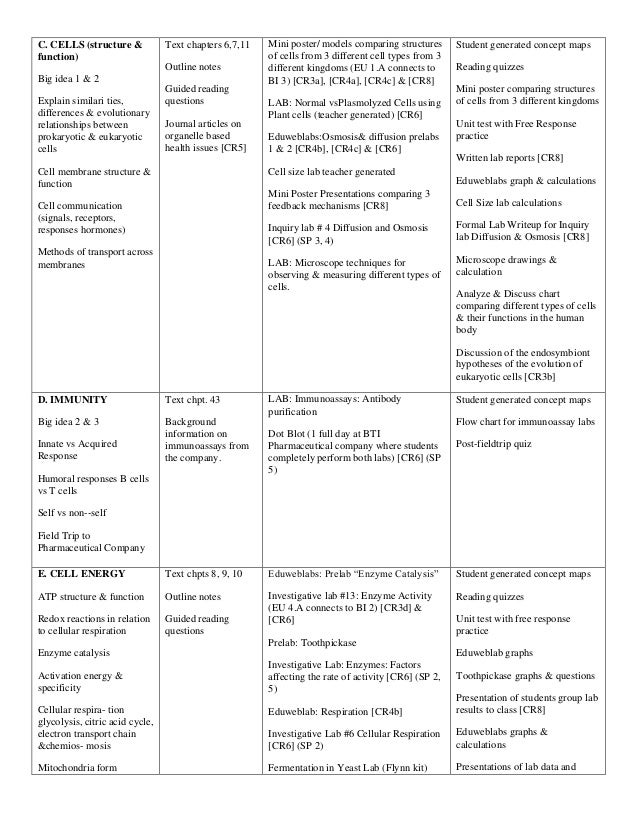 Big Ideas In Biology Chart Answers