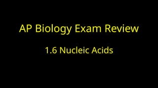 AP Biology Exam Review
1.6 Nucleic Acids
 