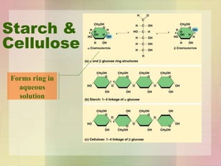 Starch &
Cellulose
Forms ring in
aqueous
solution
 