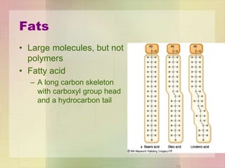 Fats
• Large molecules, but not
polymers
• Fatty acid
– A long carbon skeleton
with carboxyl group head
and a hydrocarbon tail
14
 