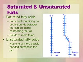 Saturated & Unsaturated
Fats
• Saturated fatty acids
– Fatty acid containing no
double bonds between
the carbon atoms
composing the tail
– Solids at room temp.
• Unsaturated fatty acids
– Has one or more double
bonded carbons in the
tail
 