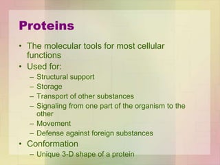 Proteins
• The molecular tools for most cellular
functions
• Used for:
– Structural support
– Storage
– Transport of other substances
– Signaling from one part of the organism to the
other
– Movement
– Defense against foreign substances
• Conformation
– Unique 3-D shape of a protein
 