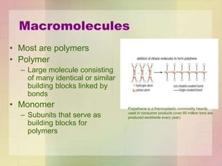 Macromolecules
• Most are polymers
• Polymer
– Large molecule consisting
of many identical or similar
building blocks linked by
bonds
• Monomer
– Subunits that serve as
building blocks for
polymers
Polyethene is a thermoplastic commodity heavily
used in consumer products (over 60 million tons are
produced worldwide every year).
 
