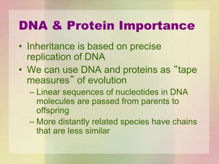 DNA & Protein Importance
• Inheritance is based on precise
replication of DNA
• We can use DNA and proteins as “tape
measures” of evolution
– Linear sequences of nucleotides in DNA
molecules are passed from parents to
offspring
– More distantly related species have chains
that are less similar
 